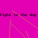 fight in the dog