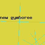 new gymboree