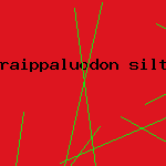 raippaluodon silta